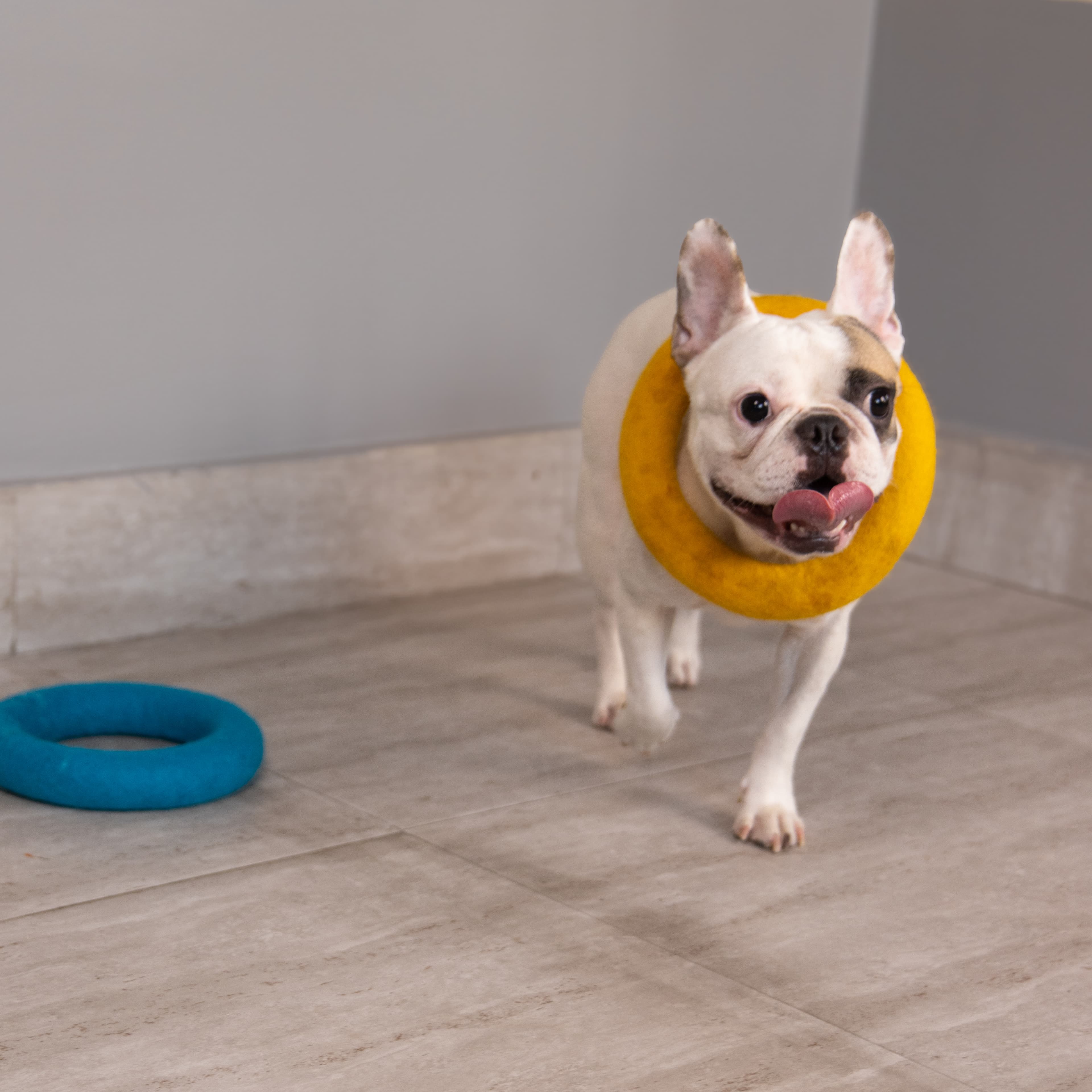 Frisbee Rings (2 pieces)