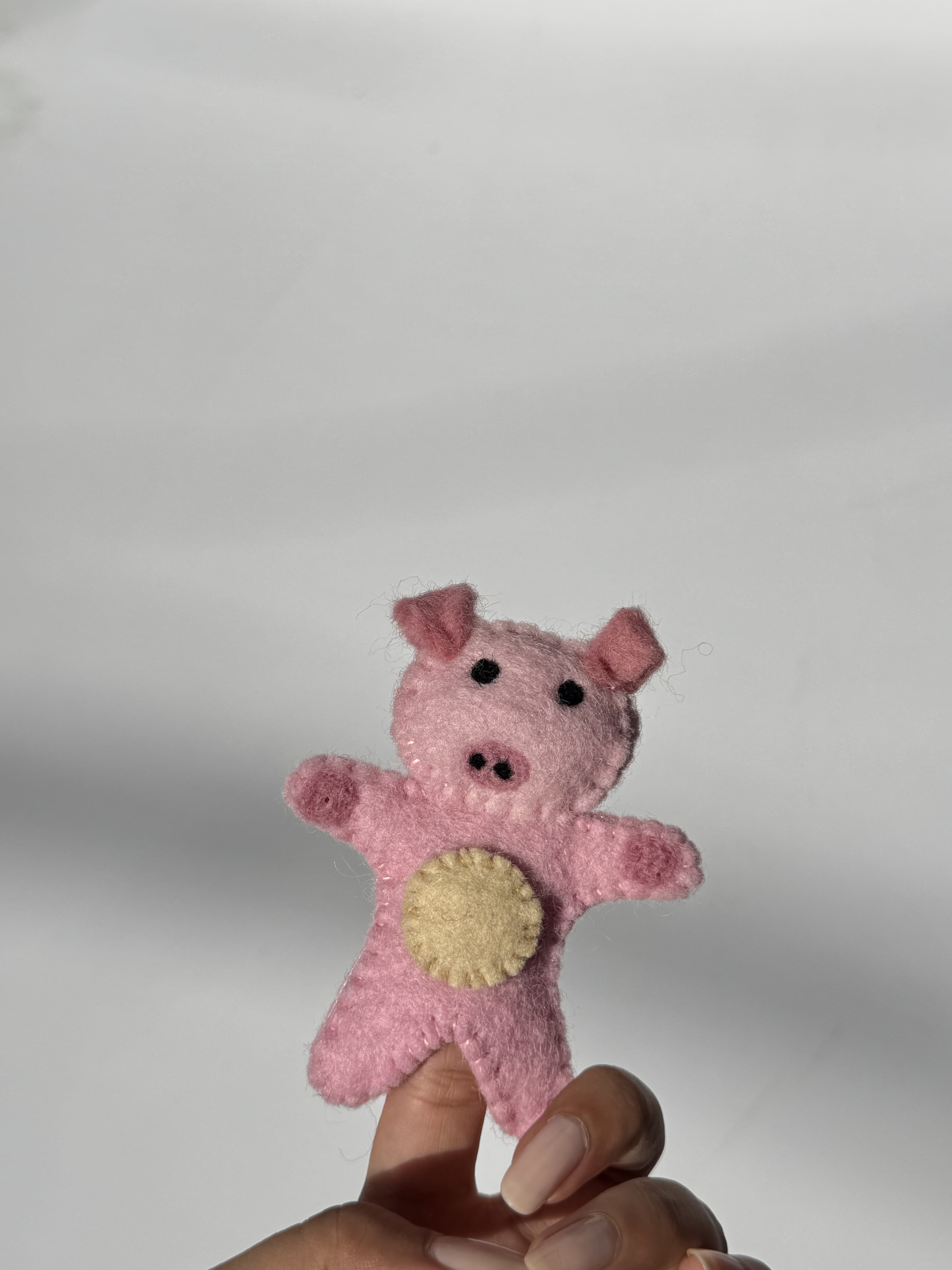Piggy finger toys